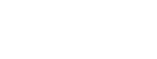Portfolio Logo